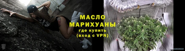 дурь Ельня