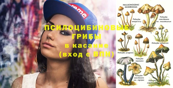 крисы Балабаново