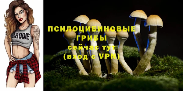 трава Балахна