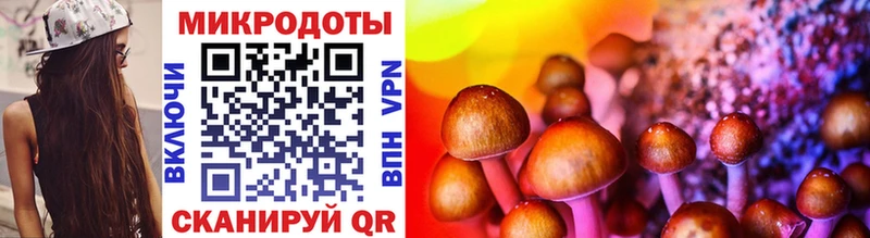 Галлюциногенные грибы Psilocybe  Купить где  Ардатов 
